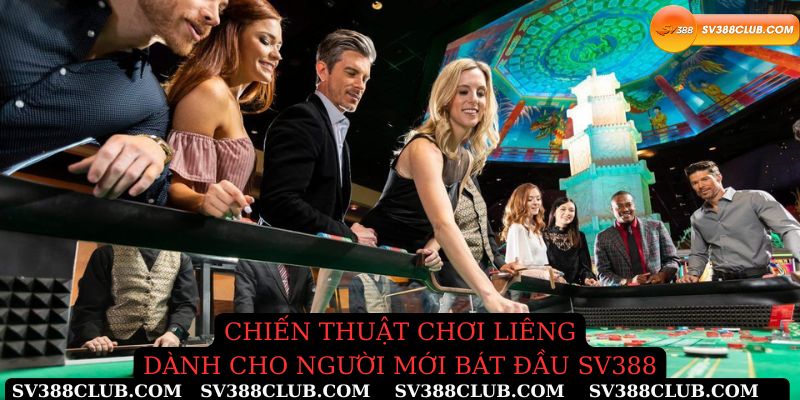 Chiến thuật chơi liêng dành cho người chơi mới bắt đầu Sv388