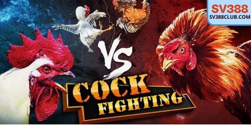 Khám phá kho game đẳng cấp cực đã