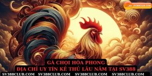 Gà chọi hòa phong địa chỉ uy tín kê thủ lâu năm tại Sv388